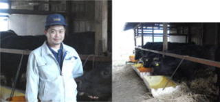 とちぎ和牛生産者　磯様